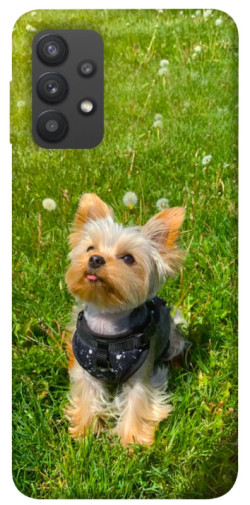 Чехол itsPrint Йорк в траве для Samsung Galaxy A32 (A325F) 4G