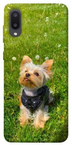 Чехол itsPrint Йорк в траве для Samsung Galaxy A02