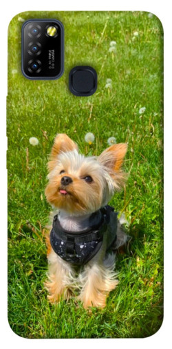 Чехол itsPrint Йорк в траве для Infinix Hot 10 Lite