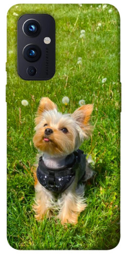 Чехол itsPrint Йорк в траве для OnePlus 9