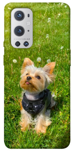 Чехол itsPrint Йорк в траве для OnePlus 9 Pro