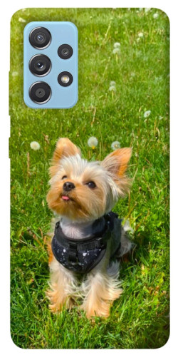 Чехол itsPrint Йорк в траве для Samsung Galaxy A52 4G / A52 5G