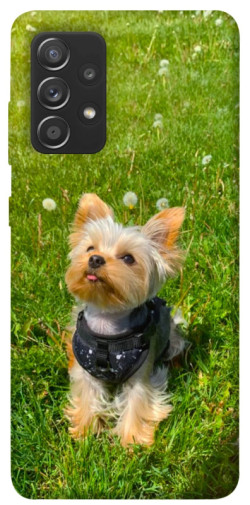 Чехол itsPrint Йорк в траве для Samsung Galaxy A72 4G / A72 5G