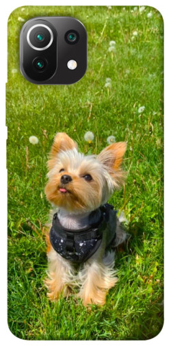 Чехол itsPrint Йорк в траве для Xiaomi Mi 11 Lite