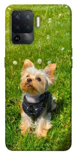 Чехол itsPrint Йорк в траве для Oppo Reno 5 Lite