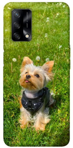 Чехол itsPrint Йорк в траве для Oppo A74 4G