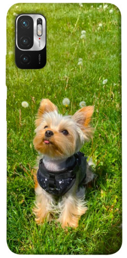 Чехол itsPrint Йорк в траве для Xiaomi Redmi Note 10 5G