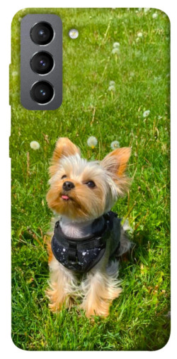 Чехол itsPrint Йорк в траве для Samsung Galaxy S21 FE