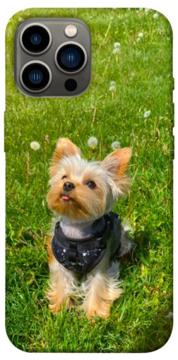 Чехол itsPrint Йорк в траве для Apple iPhone 13 Pro Max (6.7")