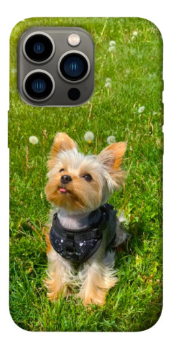 Чехол itsPrint Йорк в траве для Apple iPhone 13 Pro (6.1")