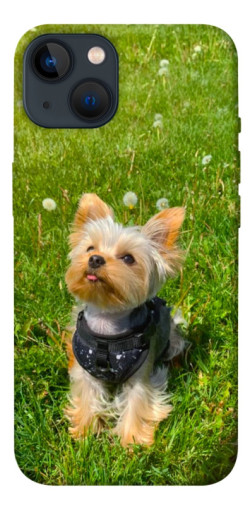 Чехол itsPrint Йорк в траве для Apple iPhone 13 (6.1")