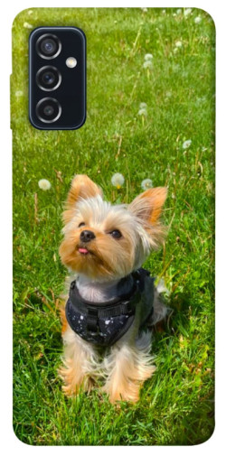 Чехол itsPrint Йорк в траве для Samsung Galaxy M52