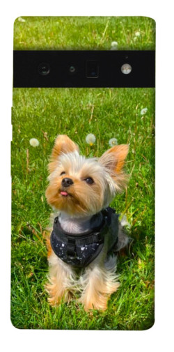 Чехол itsPrint Йорк в траве для Google Pixel 6 Pro