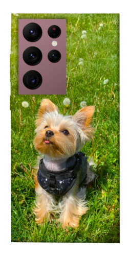 Чехол itsPrint Йорк в траве для Samsung Galaxy S22 Ultra