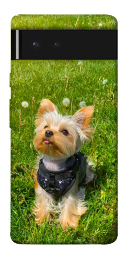 Чехол itsPrint Йорк в траве для Google Pixel 6