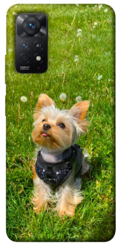 Чехол itsPrint Йорк в траве для Xiaomi Redmi Note 11 Pro 4G/5G