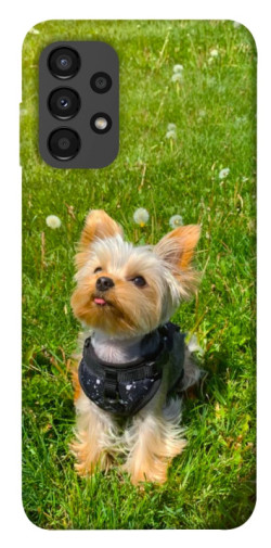 Чехол itsPrint Йорк в траве для Samsung Galaxy A13 4G