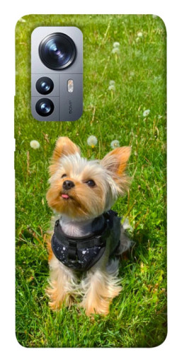 Чехол itsPrint Йорк в траве для Xiaomi 12 / 12X