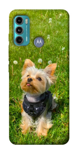 Чехол itsPrint Йорк в траве для Motorola Moto G60