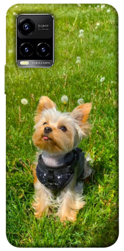 Чехол itsPrint Йорк в траве для Vivo Y21 / Y33s