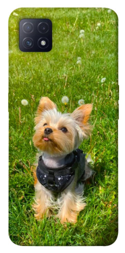 Чехол itsPrint Йорк в траве для Oppo A72 5G / A73 5G