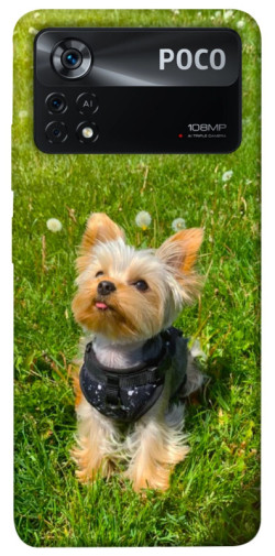 Чехол itsPrint Йорк в траве для Xiaomi Poco X4 Pro 5G