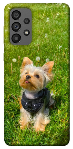 Чехол itsPrint Йорк в траве для Samsung Galaxy A73 5G