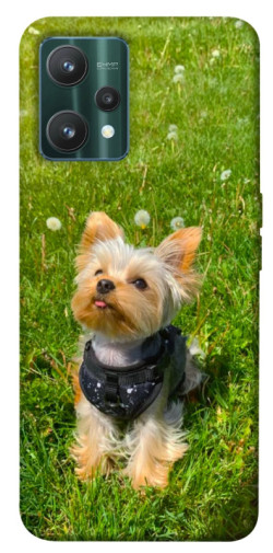 Чехол itsPrint Йорк в траве для Realme 9 Pro