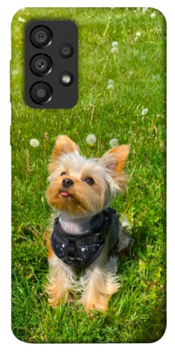 Чехол itsPrint Йорк в траве для Samsung Galaxy A33 5G