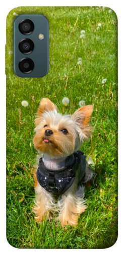 Чехол itsPrint Йорк в траве для Samsung Galaxy M23 5G