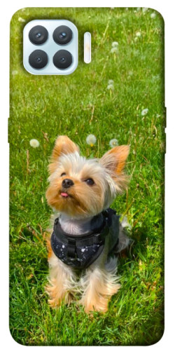 Чехол itsPrint Йорк в траве для Oppo F17 Pro