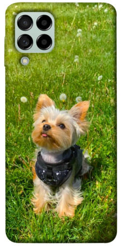 Чехол itsPrint Йорк в траве для Samsung Galaxy M53 5G