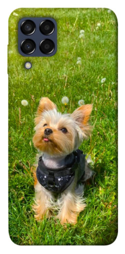 Чехол itsPrint Йорк в траве для Samsung Galaxy M33 5G