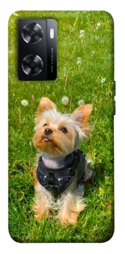 Чехол itsPrint Йорк в траве для OnePlus Nord N20 SE