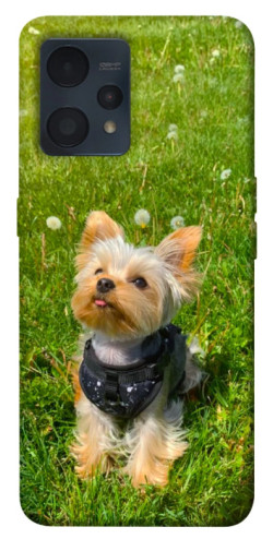 Чехол itsPrint Йорк в траве для Realme 9 4G / 9 Pro+