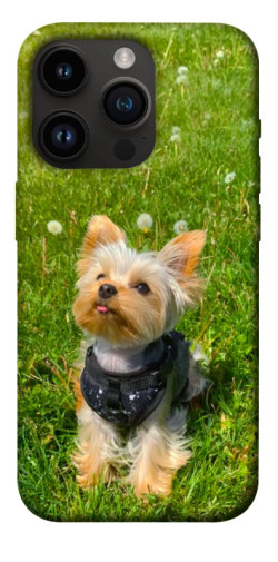 Чехол itsPrint Йорк в траве для Apple iPhone 14 Pro (6.1")