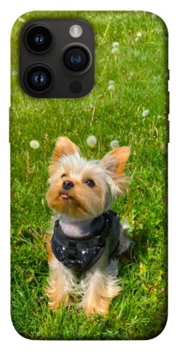 Чехол itsPrint Йорк в траве для Apple iPhone 14 Pro Max (6.7")