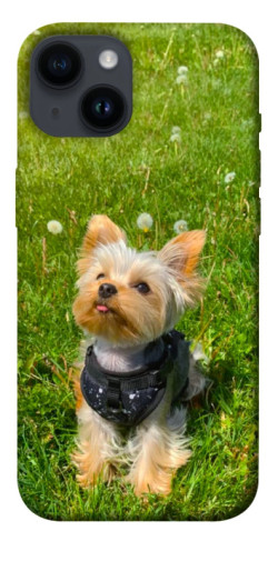 Чехол itsPrint Йорк в траве для Apple iPhone 14 (6.1")