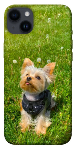 Чехол itsPrint Йорк в траве для Apple iPhone 14 Plus (6.7")