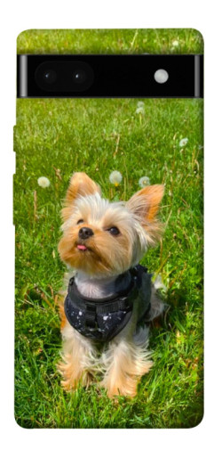 Чехол itsPrint Йорк в траве для Google Pixel 6a