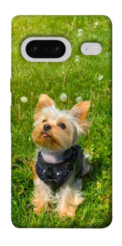 Чехол itsPrint Йорк в траве для Google Pixel 7