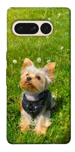 Чехол itsPrint Йорк в траве для Google Pixel 7 Pro