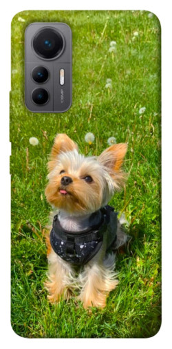 Чехол itsPrint Йорк в траве для Xiaomi 12 Lite