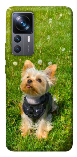 Чехол itsPrint Йорк в траве для Xiaomi 12T / 12T Pro