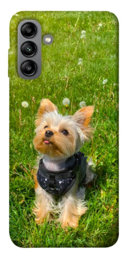 Чехол itsPrint Йорк в траве для Samsung Galaxy A04s