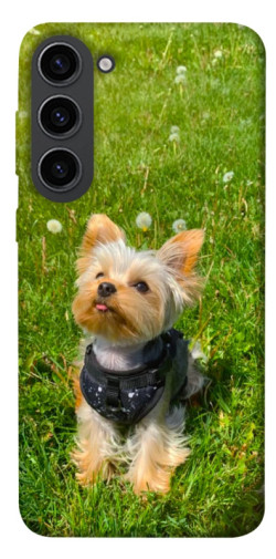 Чехол itsPrint Йорк в траве для Samsung Galaxy S23