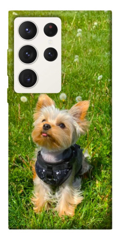 Чехол itsPrint Йорк в траве для Samsung Galaxy S23 Ultra