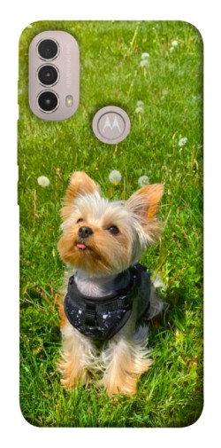 Чехол itsPrint Йорк в траве для Motorola Moto E40