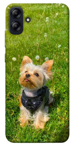 Чехол itsPrint Йорк в траве для Samsung Galaxy A04e