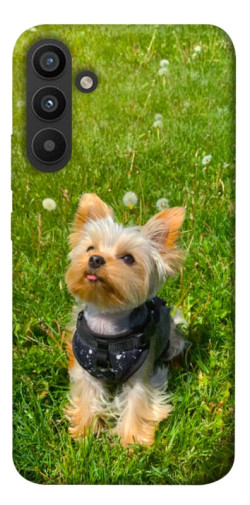 Чехол itsPrint Йорк в траве для Samsung Galaxy A34 5G